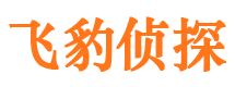 南汇市侦探调查公司